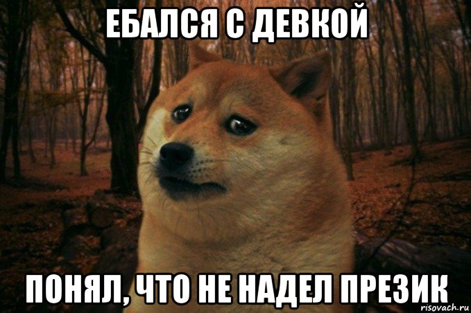 ебался с девкой понял, что не надел презик, Мем SAD DOGE