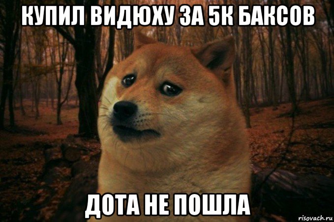 купил видюху за 5к баксов дота не пошла, Мем SAD DOGE