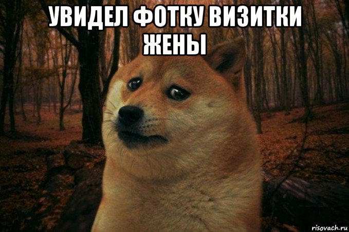 увидел фотку визитки жены , Мем SAD DOGE