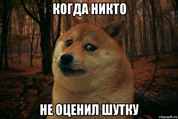 когда никто не оценил шутку, Мем SAD DOGE