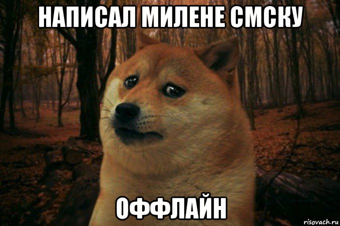 написал милене смску оффлайн, Мем SAD DOGE