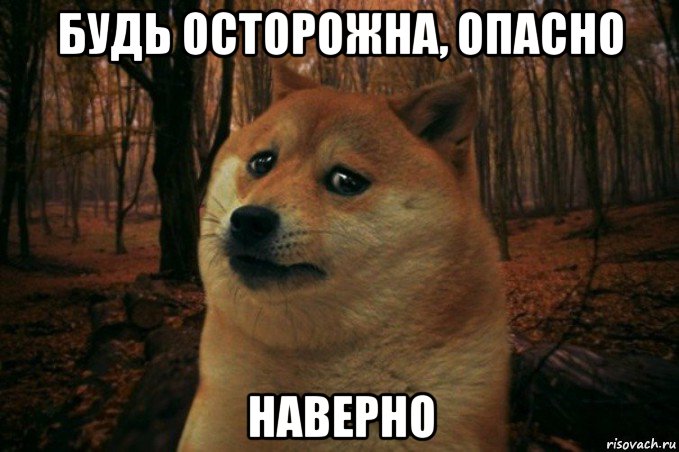 будь осторожна, опасно наверно, Мем SAD DOGE