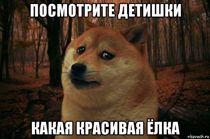 посмотрите детишки какая красивая ёлка, Мем SAD DOGE