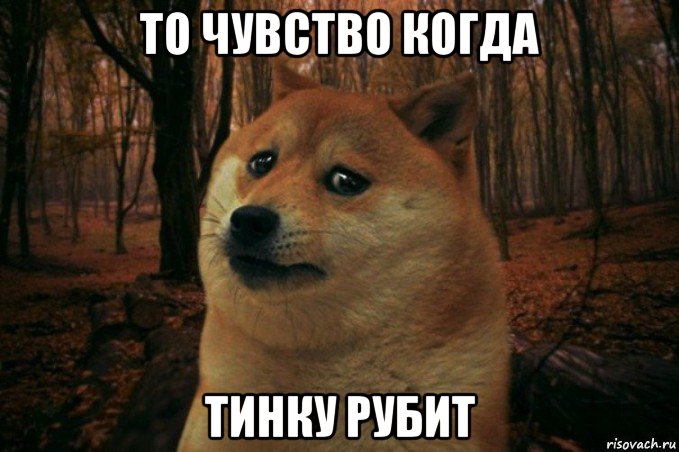 то чувство когда тинку рубит, Мем SAD DOGE