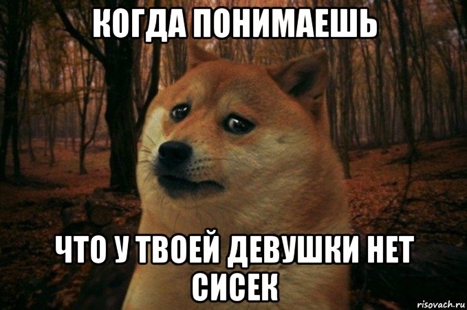 когда понимаешь что у твоей девушки нет сисек, Мем SAD DOGE