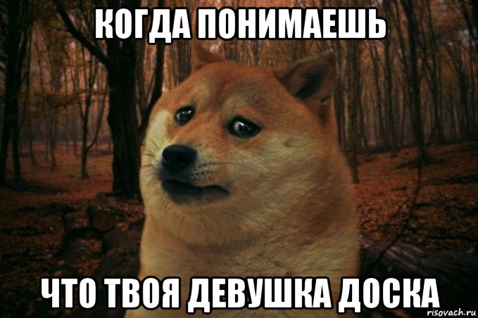 когда понимаешь что твоя девушка доска, Мем SAD DOGE