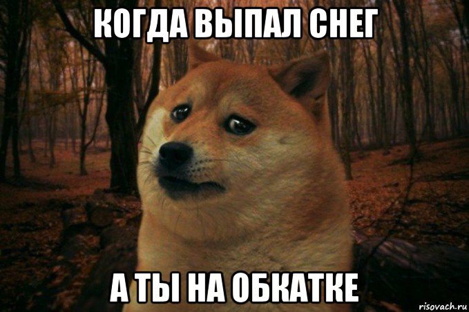 когда выпал снег а ты на обкатке, Мем SAD DOGE