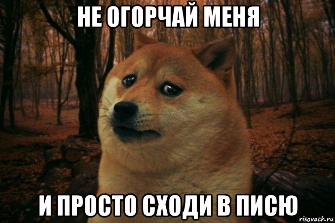 не огорчай меня и просто сходи в писю, Мем SAD DOGE