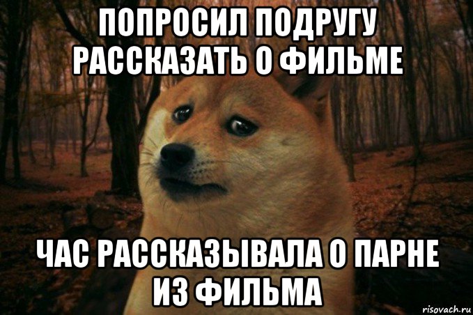 попросил подругу рассказать о фильме час рассказывала о парне из фильма, Мем SAD DOGE