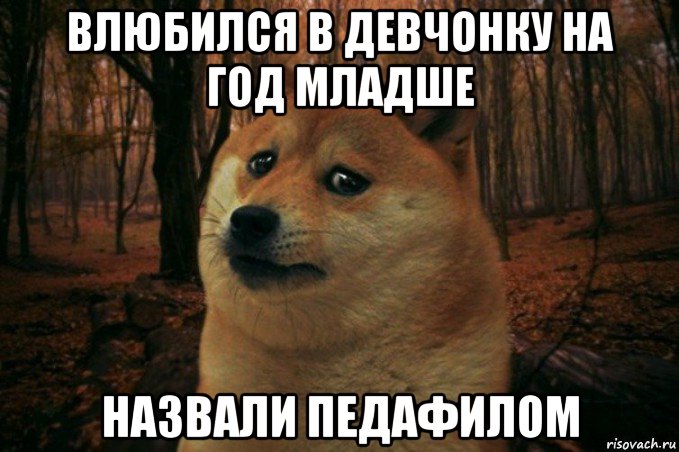 влюбился в девчонку на год младше назвали педафилом, Мем SAD DOGE