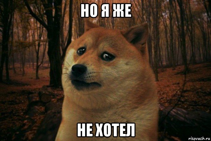 но я же не хотел, Мем SAD DOGE