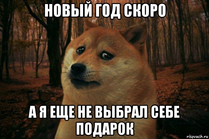 новый год скоро а я еще не выбрал себе подарок, Мем SAD DOGE