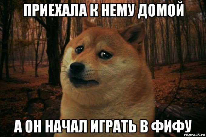 приехала к нему домой а он начал играть в фифу, Мем SAD DOGE