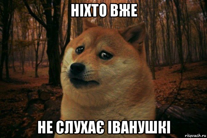 ніхто вже не слухає іванушкі, Мем SAD DOGE