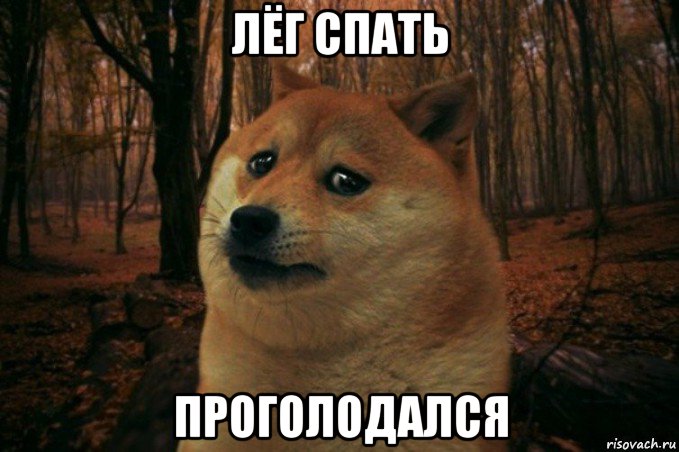 лёг спать проголодался, Мем SAD DOGE