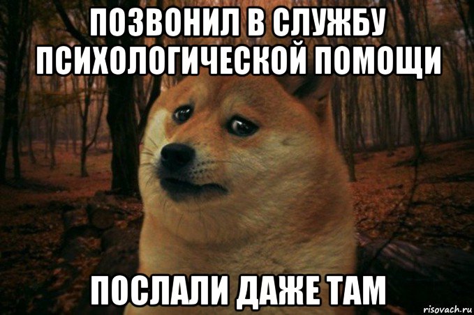 позвонил в службу психологической помощи послали даже там, Мем SAD DOGE