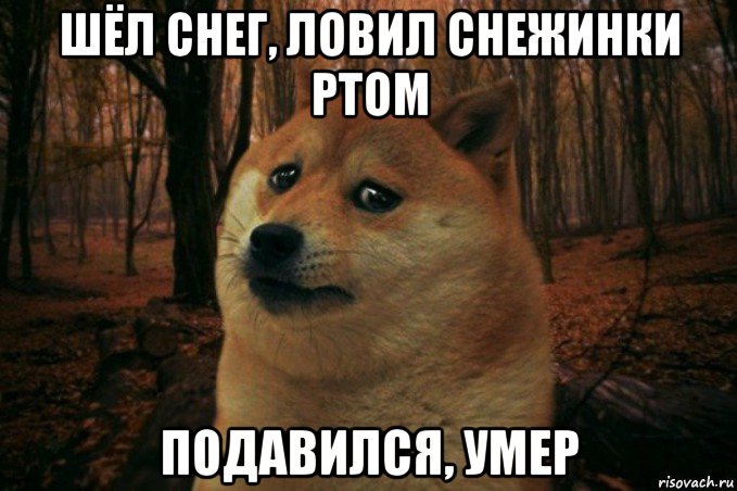 шёл снег, ловил снежинки ртом подавился, умер, Мем SAD DOGE