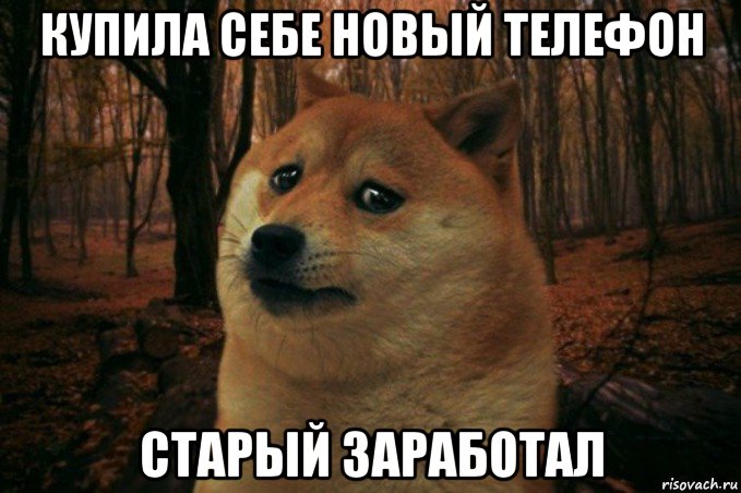 купила себе новый телефон старый заработал, Мем SAD DOGE