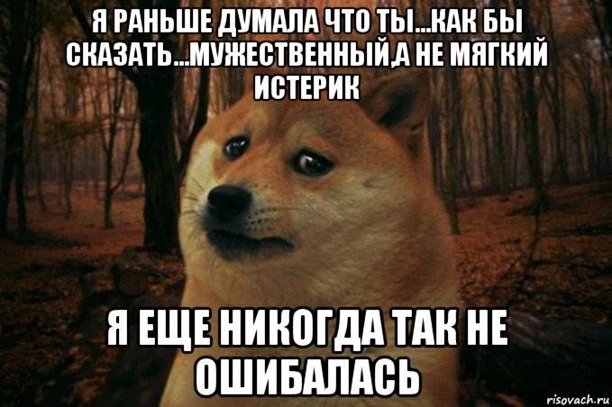 я раньше думала что ты...как бы сказать...мужественный,а не мягкий истерик я еще никогда так не ошибалась, Мем SAD DOGE