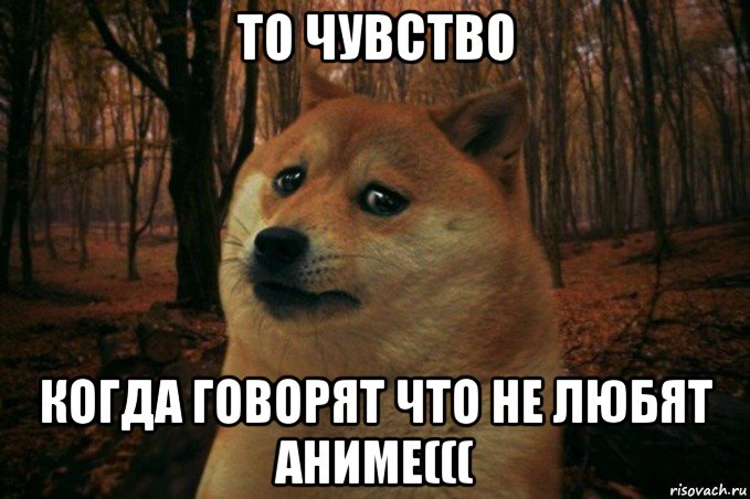 то чувство когда говорят что не любят аниме(((, Мем SAD DOGE