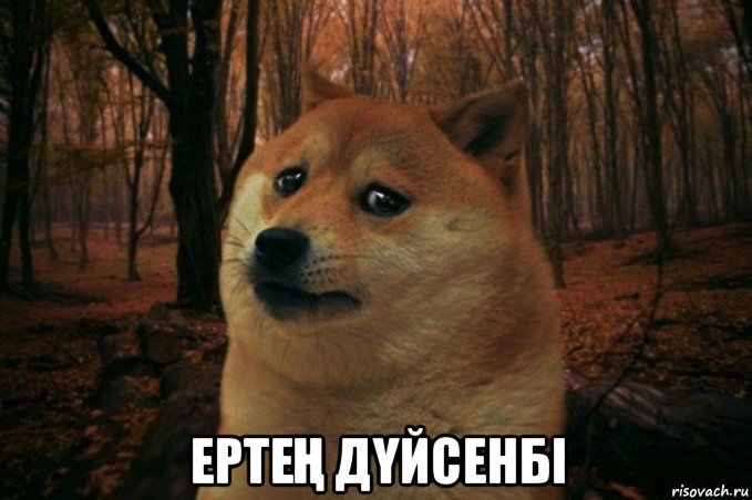  ертеҢ дҮйсенбi, Мем SAD DOGE