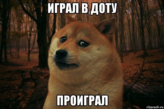 играл в доту проиграл, Мем SAD DOGE