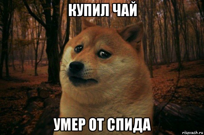 купил чай умер от спида, Мем SAD DOGE