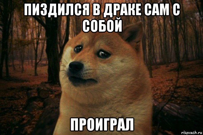 пиздился в драке сам с собой проиграл, Мем SAD DOGE