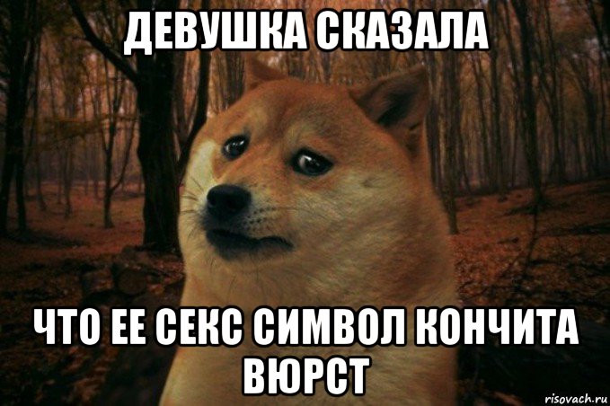 девушка сказала что ее секс символ кончита вюрст, Мем SAD DOGE