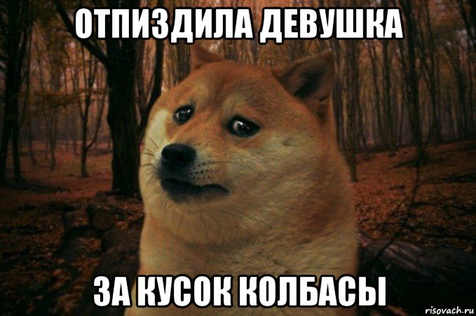 отпиздила девушка за кусок колбасы, Мем SAD DOGE