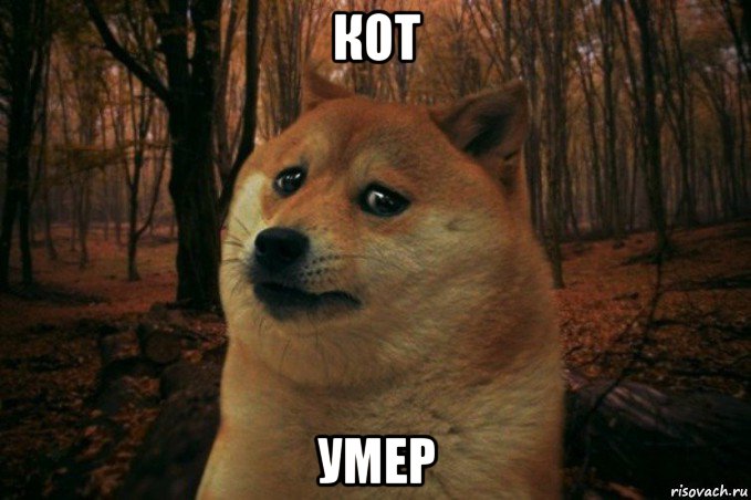 кот умер, Мем SAD DOGE