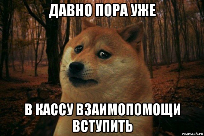 давно пора уже в кассу взаимопомощи вступить, Мем SAD DOGE