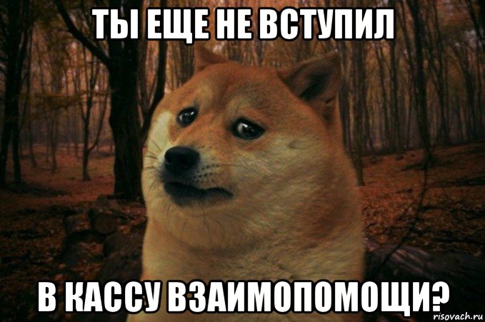 ты еще не вступил в кассу взаимопомощи?, Мем SAD DOGE