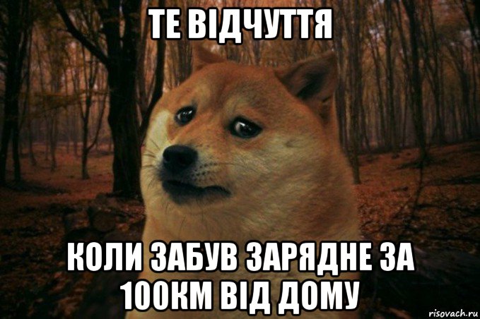 те відчуття коли забув зарядне за 100км від дому, Мем SAD DOGE