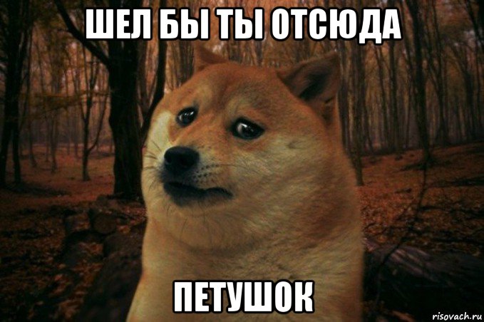 шел бы ты отсюда петушок, Мем SAD DOGE