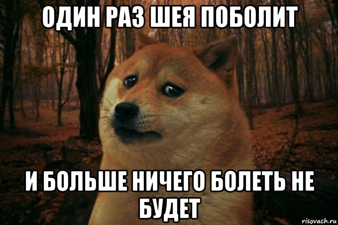 один раз шея поболит и больше ничего болеть не будет, Мем SAD DOGE