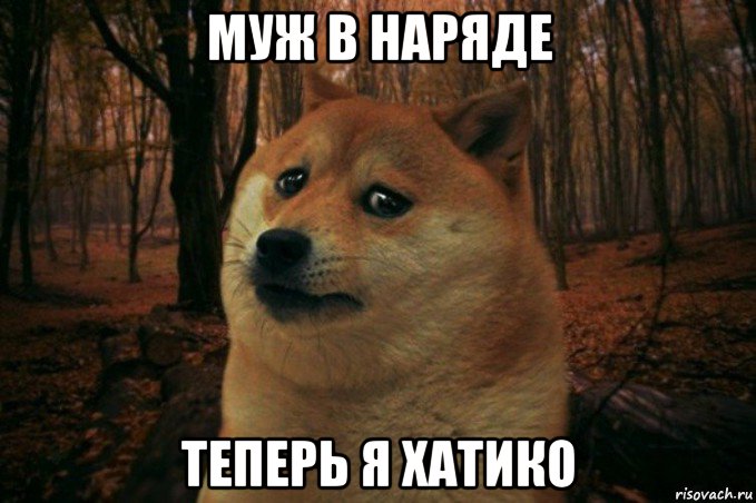 муж в наряде теперь я хатико, Мем SAD DOGE