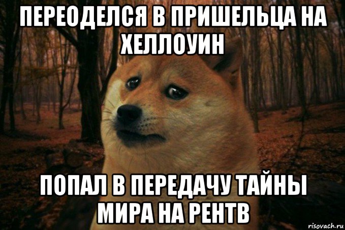 переоделся в пришельца на хеллоуин попал в передачу тайны мира на рентв, Мем SAD DOGE