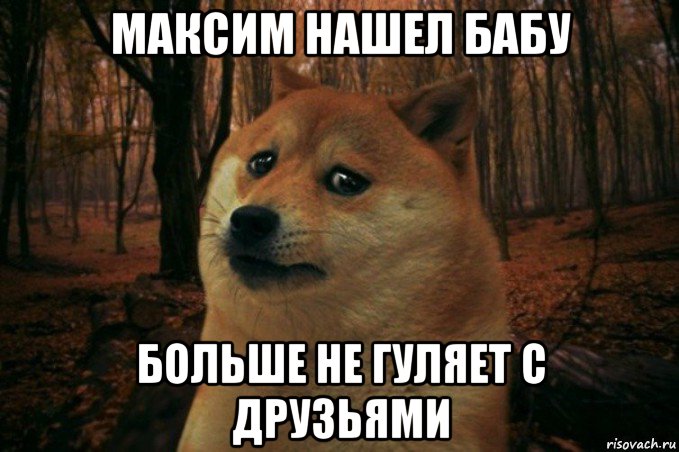 максим нашел бабу больше не гуляет с друзьями, Мем SAD DOGE