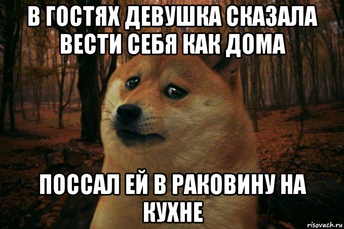 в гостях девушка сказала вести себя как дома поссал ей в раковину на кухне, Мем SAD DOGE