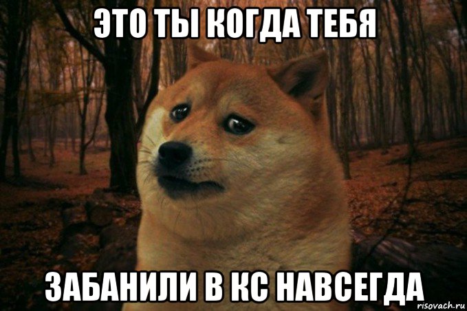 это ты когда тебя забанили в кс навсегда, Мем SAD DOGE