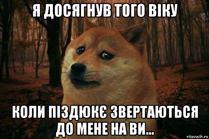 я досягнув того віку коли піздюкє звертаються до мене на ви..., Мем SAD DOGE