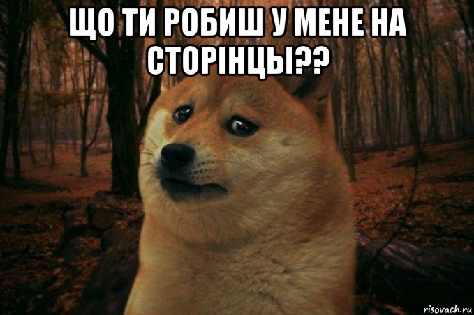 що ти робиш у мене на сторінцы?? , Мем SAD DOGE