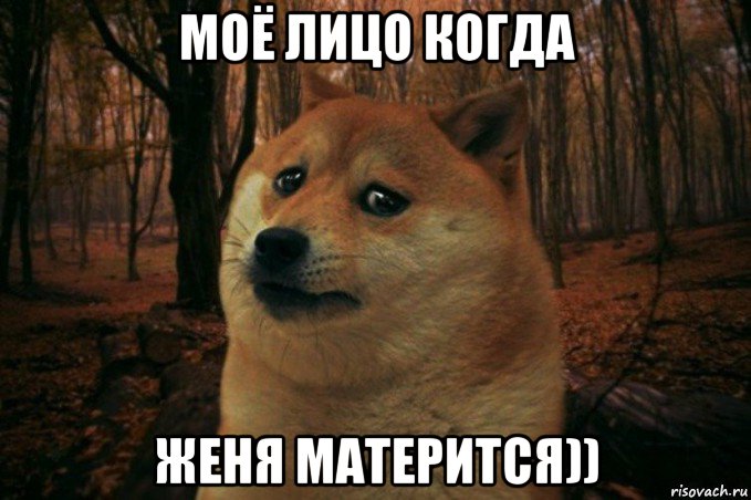 моё лицо когда женя матерится)), Мем SAD DOGE