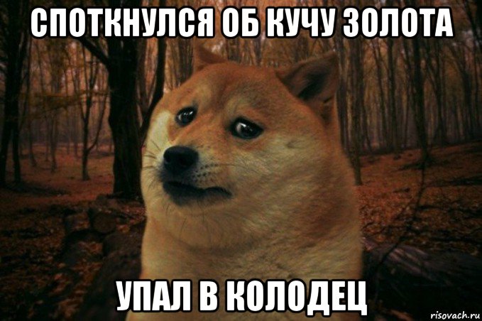 споткнулся об кучу золота упал в колодец, Мем SAD DOGE