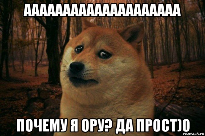 аааааааааааааааааааа почему я ору? да прост)0, Мем SAD DOGE