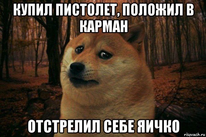 купил пистолет, положил в карман отстрелил себе яичко, Мем SAD DOGE