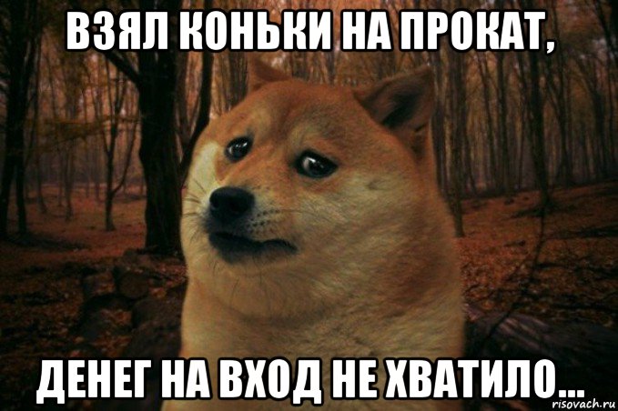 взял коньки на прокат, денег на вход не хватило..., Мем SAD DOGE