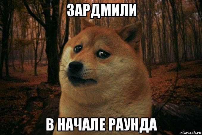 зардмили в начале раунда, Мем SAD DOGE