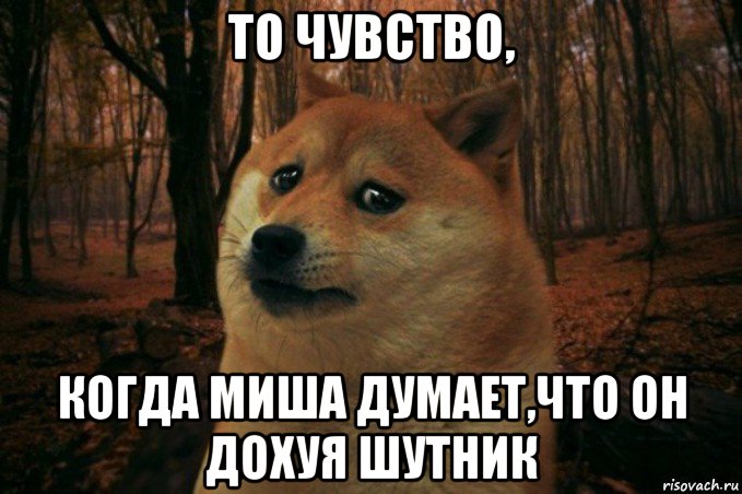 то чувство, когда миша думает,что он дохуя шутник, Мем SAD DOGE